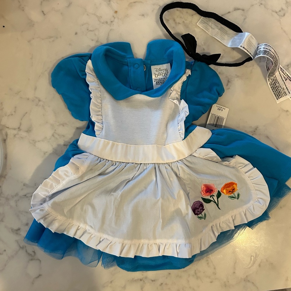 Disney Blue and White Costume